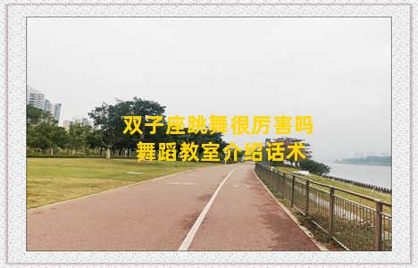 双子座跳舞很厉害吗 舞蹈教室介绍话术